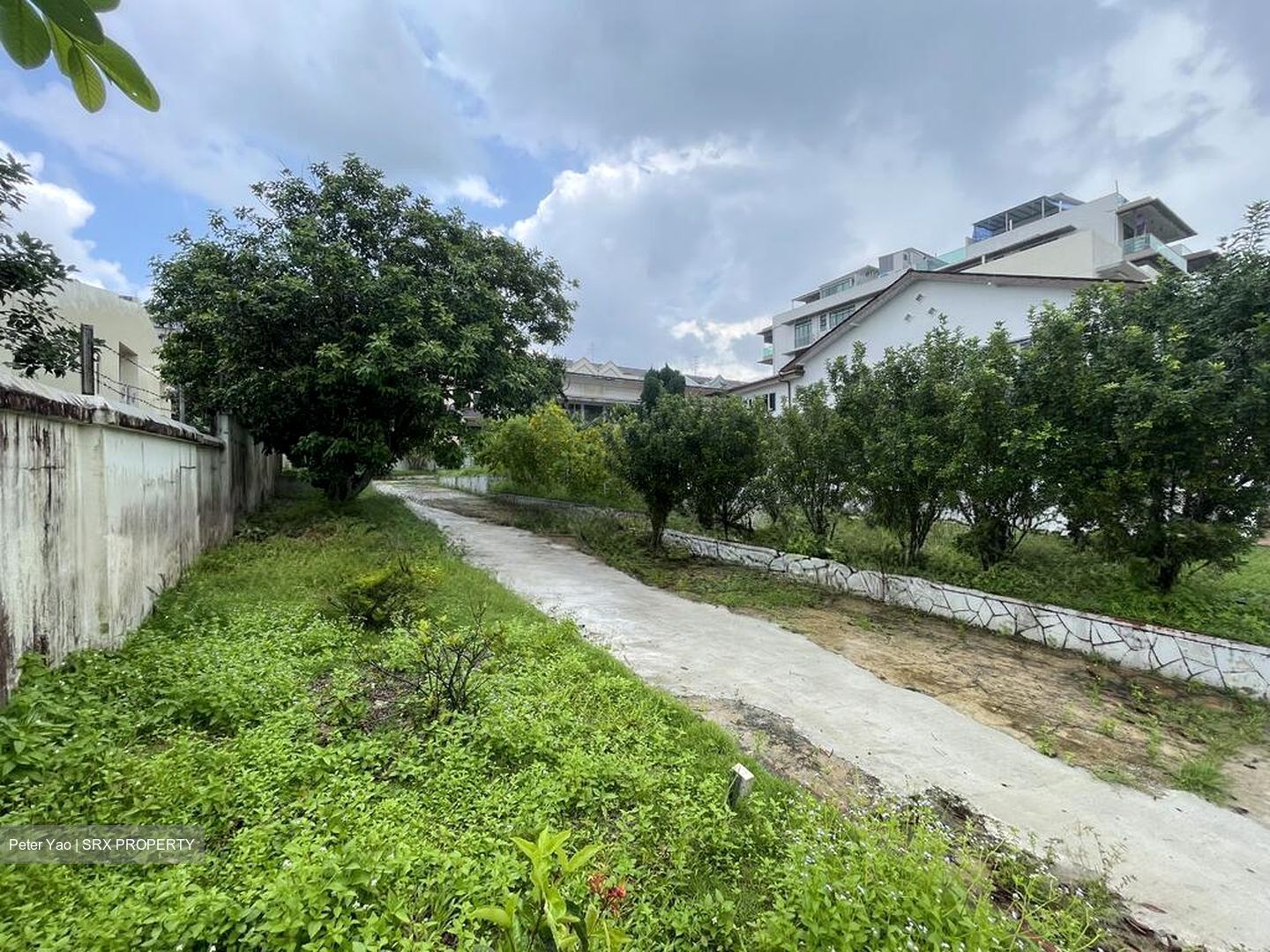 JANSEN ROAD (D19),  #585079251